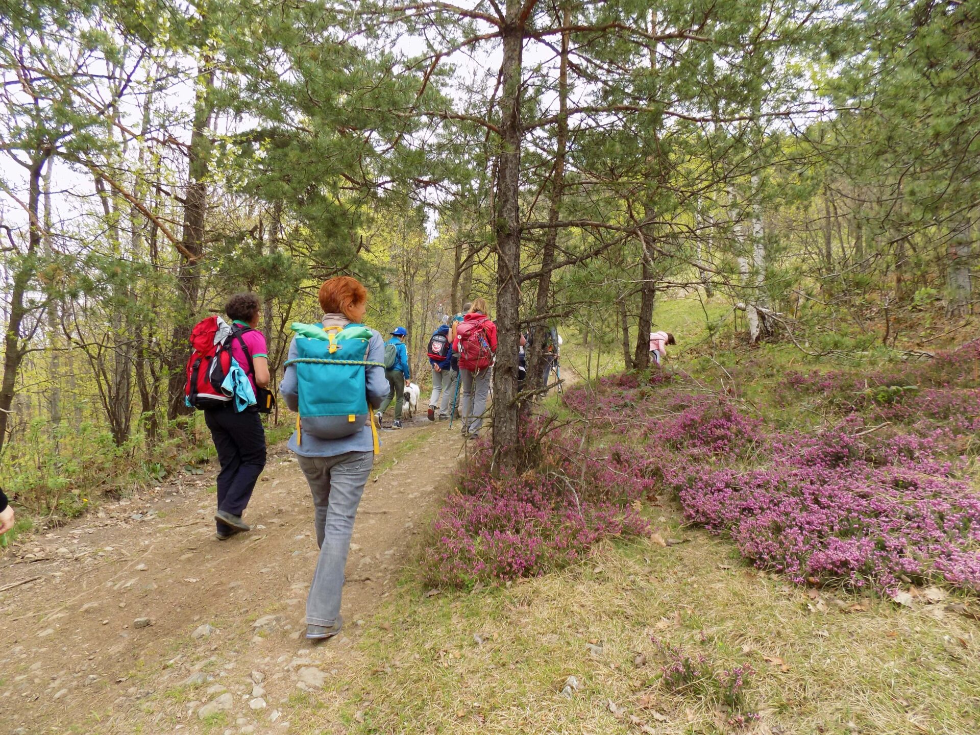 Suvobor and Rajac hiking