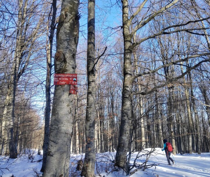 Jastrebac vrh Pogled, planinarenje