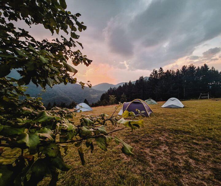 kampovanje na Tari Kazalo